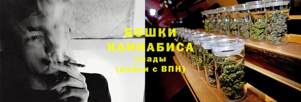 ECSTASY Липки