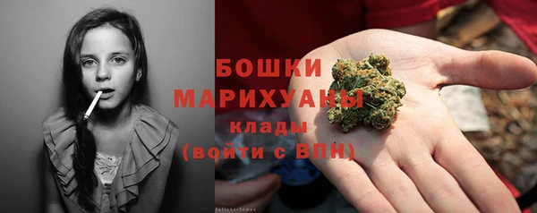 ECSTASY Липки