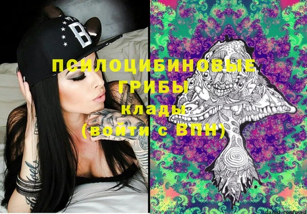 ECSTASY Липки
