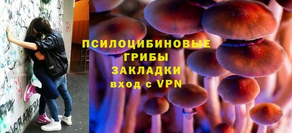 ECSTASY Липки