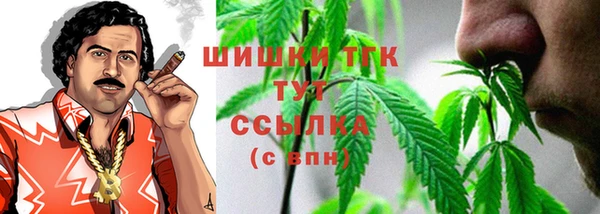 ECSTASY Липки