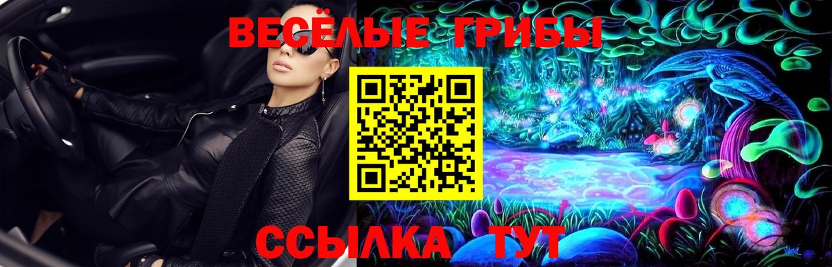 Галлюциногенные грибы Psilocybine cubensis Коломна